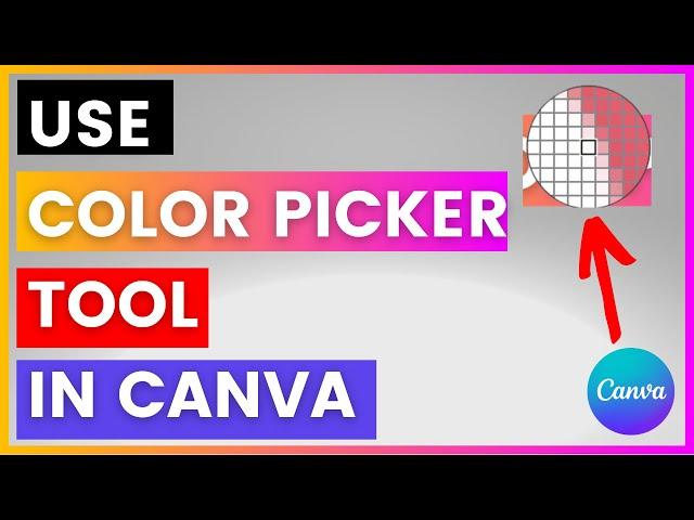 How To Use Color Picker Tool in Canva? [in 2024]