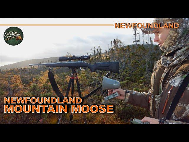 Rugged Mountain Moose Hunt Adventure in Newfoundland | Canada in the Rough