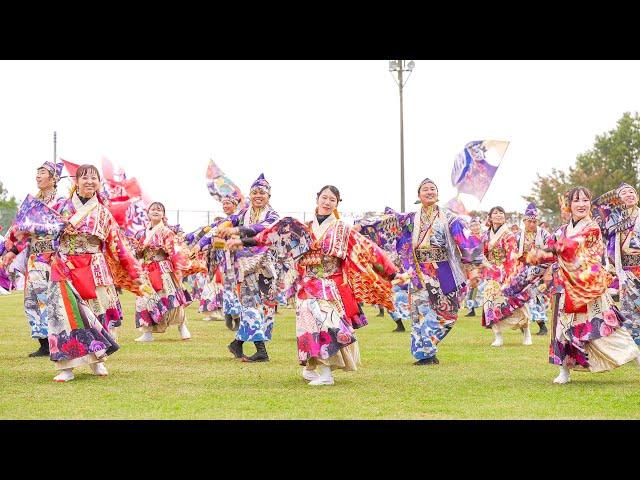 [4K] ほろろ一座　天空よさこい 2024 メイン会場