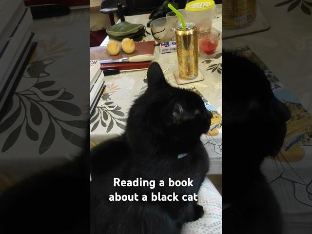 #booktube #book #booklover #bookworm #cat #blackcat #booklove #bookfan #books #reading #booknerd