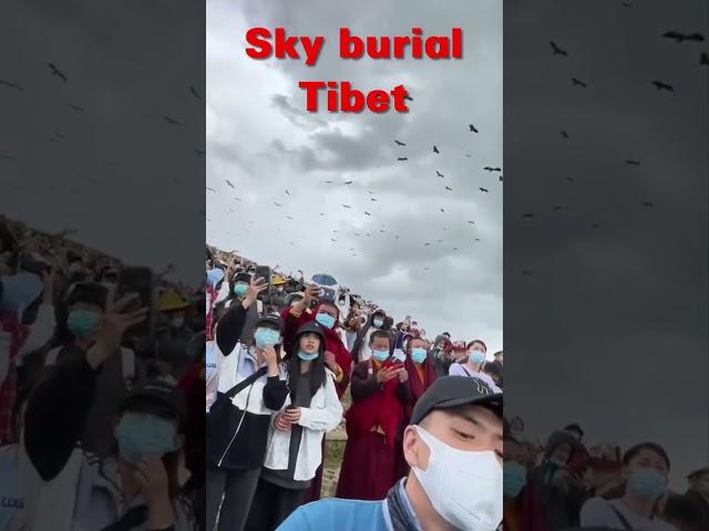 Horror Sky burial in Tibet