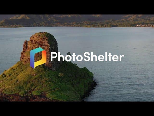 Our Story | PhotoShelter for Brands