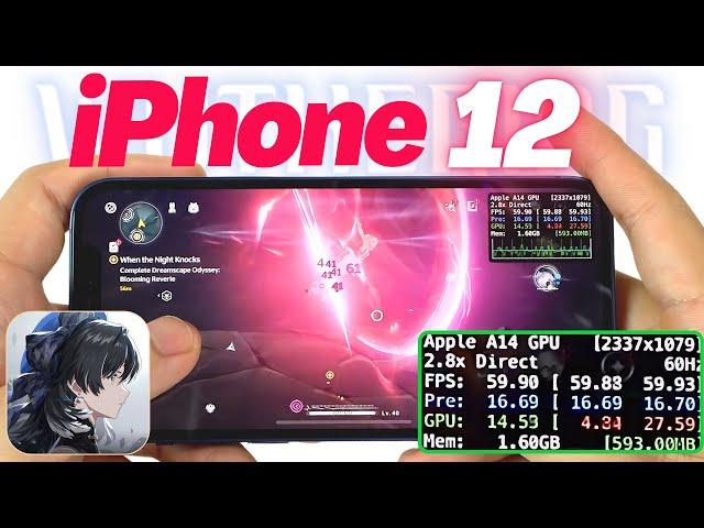 iPhone 12 Wuthering Waves Gaming Review Update | FPS & Battery Drain test