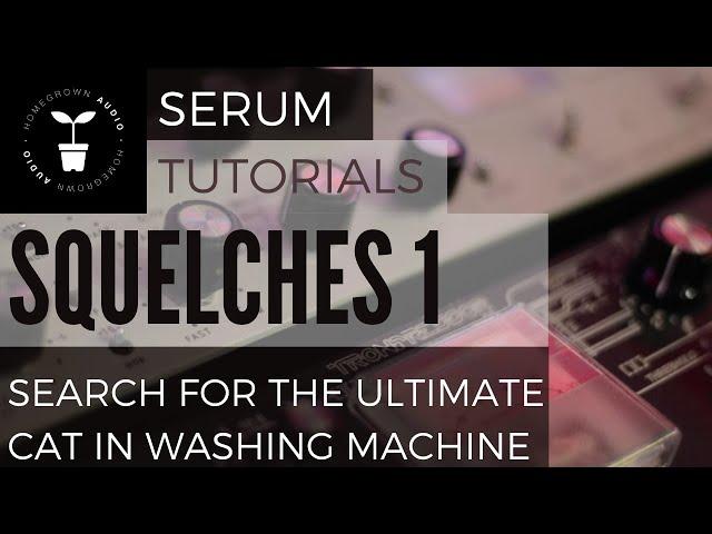 PRO PSYTRANCE / EDM: Squelch Like a Pro! Searching for the ULTIMATE SQUELCH.On XFER SERUM.