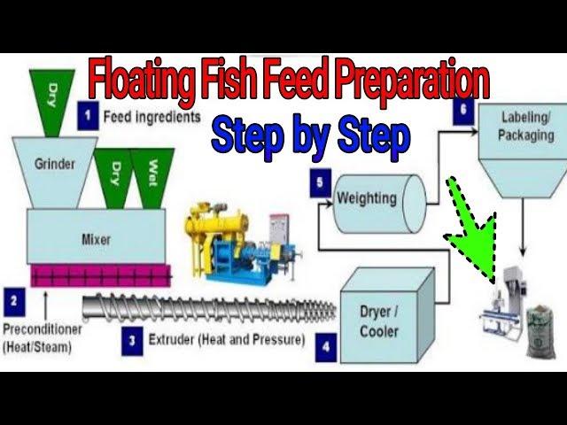 On Farm Floating Fish Feed Preparation Method | Step By Step Process