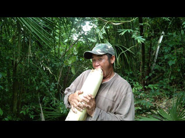 PANGUNGUHA NG 'UBOD' NG BULI  SA BUNDOK CATCH AND COOK