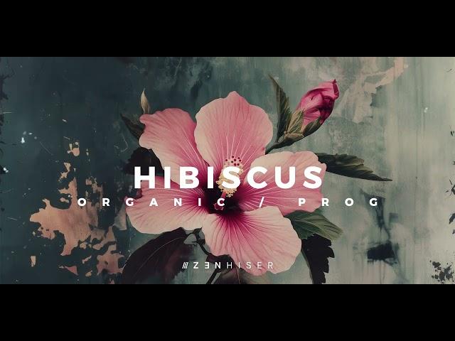 Hibiscus by Zenhiser. The Sonic Palette of Progressive and Organic House.