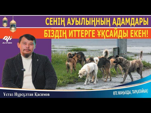 Сенің ауылыңның адамдары, біздің ауылдың иттері сияқты екен / Ұстаз Нұрсұлтан Қасимов