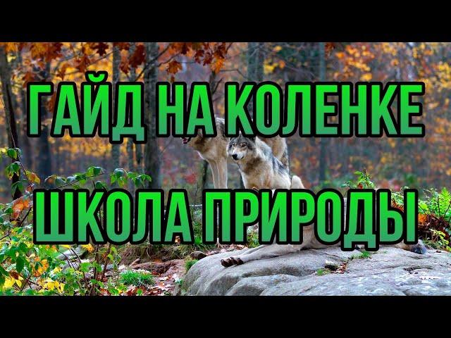 ШКОЛА ПРИРОДЫ: ГАЙД НА КОЛЕНКЕ