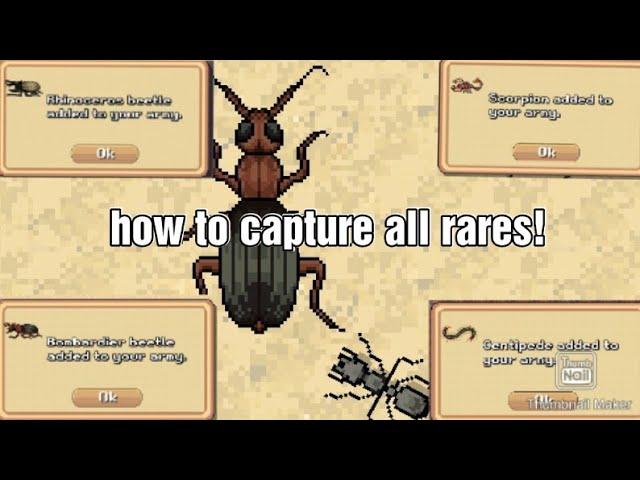 How to capture all the rare  creatures in pocket ants.