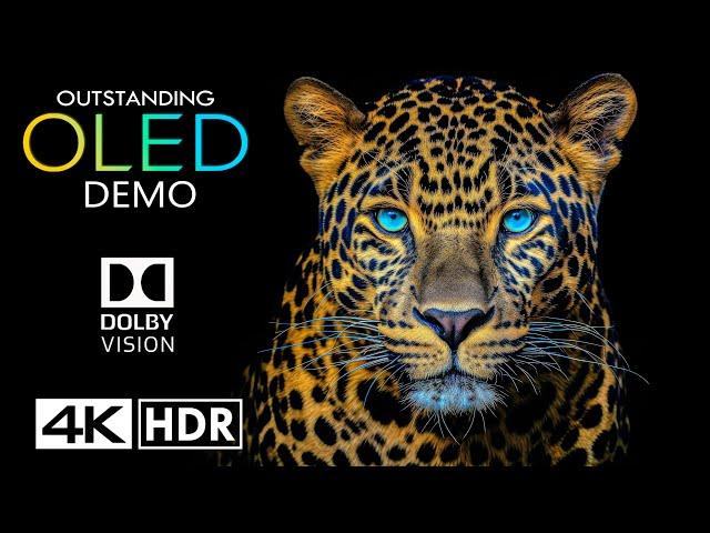 OUTSTANDING  Dolby Vision 4K HDR 120fps 4K Video ULTRA HD