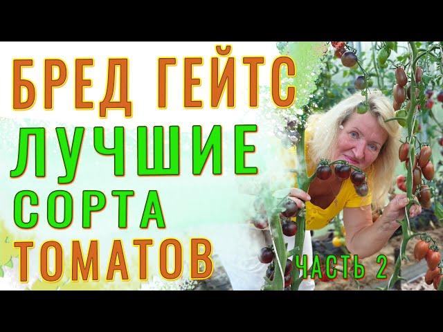 Бред Гейтс. БОЛЬШОЙ ОБЗОР РЕДКИХ СОРТОВ ТОМАТОВ #томат #помидор #БредГейтс