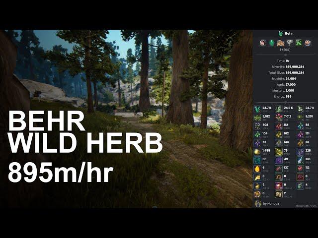 BDO Per Hour Money | Gathering - Behr Wild Herb