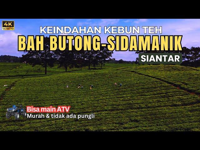 Wisata Kebun Teh Sidamanik Siantar 2024 Sekarang Makin Indah & Asri | Kebun Teh BahButong Sidamanik