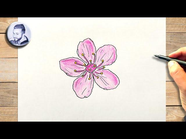 Comment dessiner une fleur japonaise facile