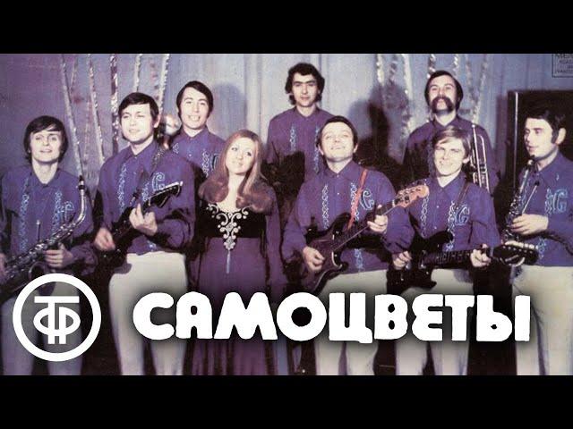 ВИА "Самоцветы". Сборник песен (1973-87)