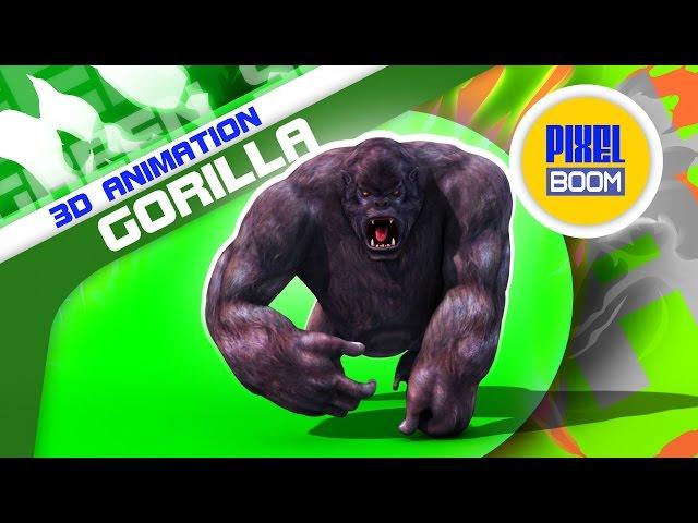 Green Screen Gorilla Walk Attack Animals - Footage PixelBoom