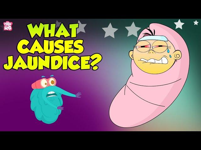 Jaundice | Causes of Jaundice | The Dr Binocs Show | Peekaboo Kidz