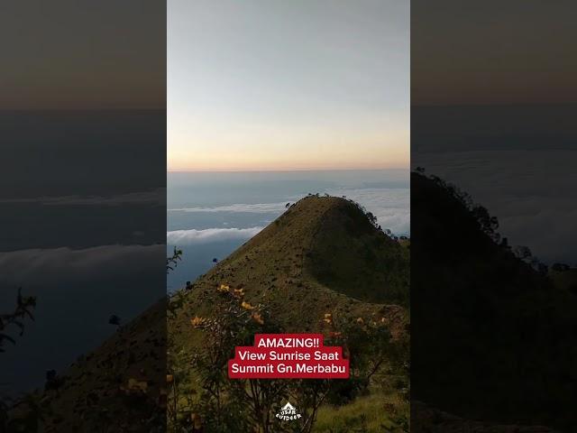 AMAZING!! Sunrise Gn.Merbabu #shorts #gunungmerbabu