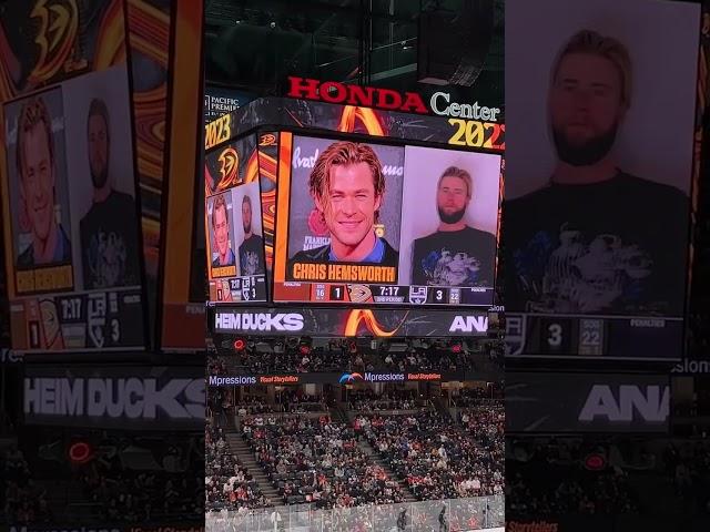 Celebrity Look-Alike Cam at Anaheim Ducks Game