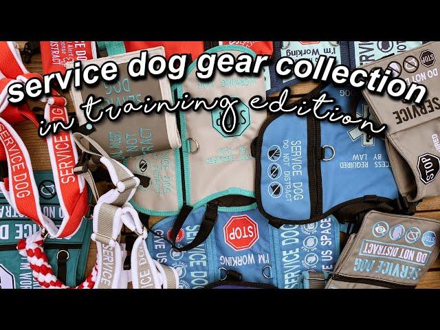 service dog gear collection || in training edition! :)