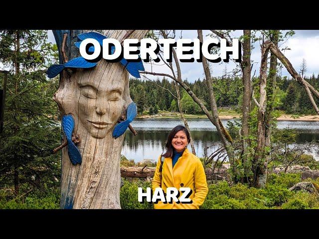 Kuat ga Niy Muterin Danau Oderteich Harz dengan Suhu 8 Derajat? | Harz Part 1