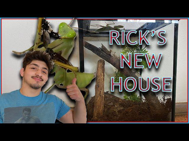 Giant Mantis Enclosure Upgrade!: ZooMed Creatures Habitat Kit!