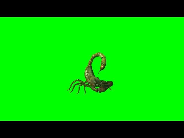 scorpio green screen