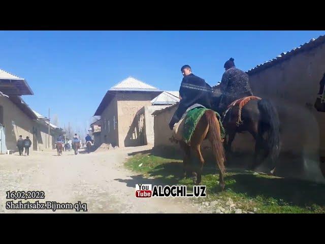 Shahrisabz tumani Bijnom Qishloq | horse makeover | equsterian | horseshow yakkabog' alochi.uz