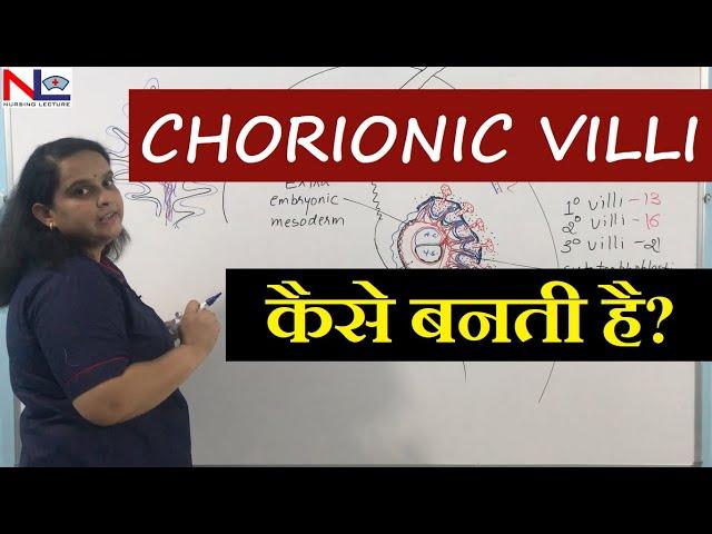 Chorionic villi in Hindi | Placenta development [Part-3] Nursing Lecture