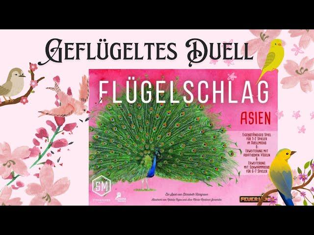 Geflügeltes Duell - Reinfuchsen in Flügelschlag Asien