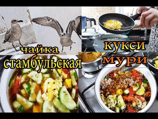 Открыли ворота для культурной чайке, приготовила кукси мури с гречкой