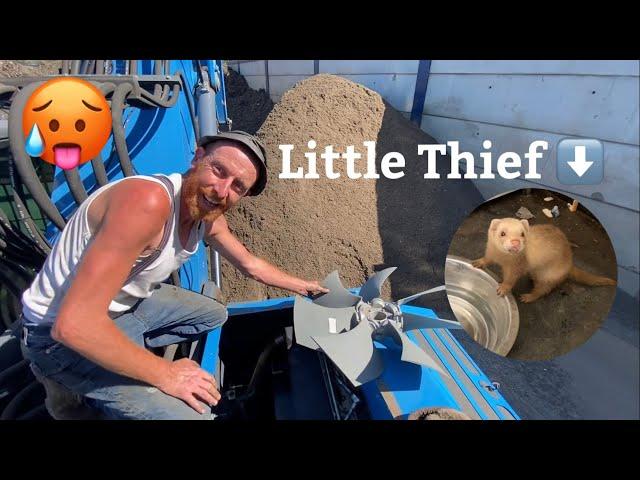 Fix it before you use it struggle! The fooked fuchs, and charvez the ferret