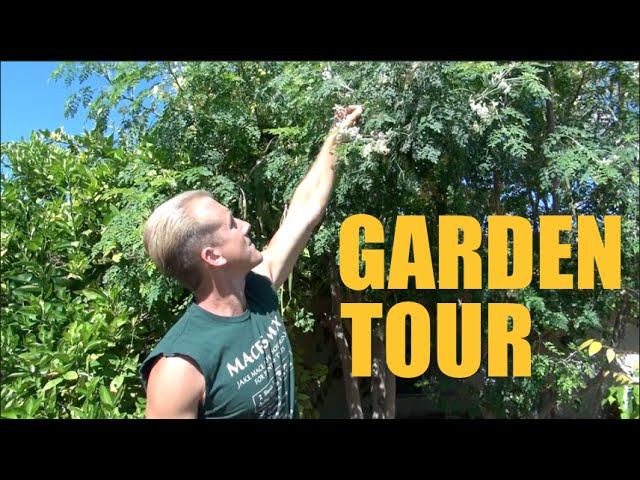 Arizona Garden Tour - Over 200 Fruit Trees on 1/3 Acre - Spring 2016