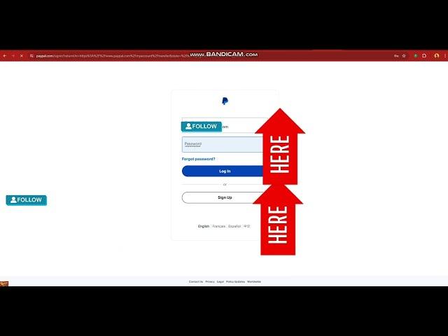 How to Buy PayPal logs and western Union  on clean web with BTC 100% Legit