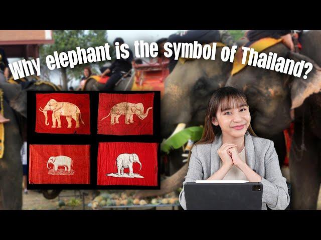 Why elephant is the symbol of Thailand? | 2 Minutes Thailand