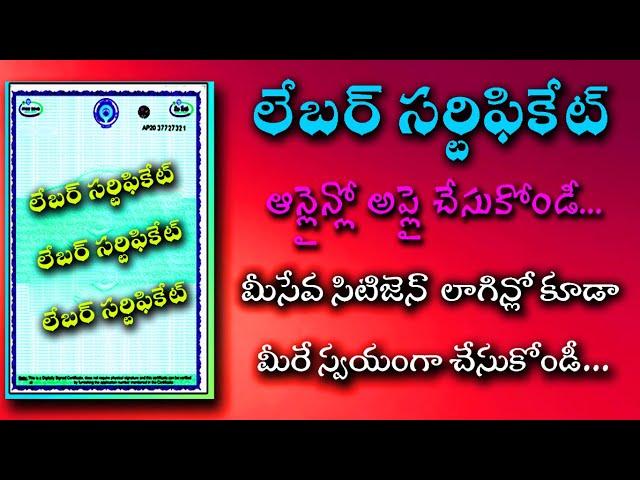 How to Apply Labour Certificate Online in Telugu 2022 || Labour certificate check status