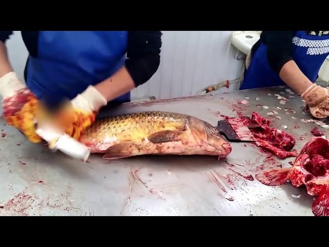 SUPER! Разделка рыбы сазана карпа по-атырауски (рынок Коктем) / Cutting Fillet Fish carp in Atyrau