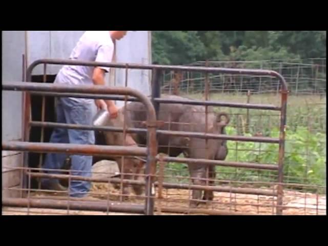 Doc Sanders: How to Speak Farmer