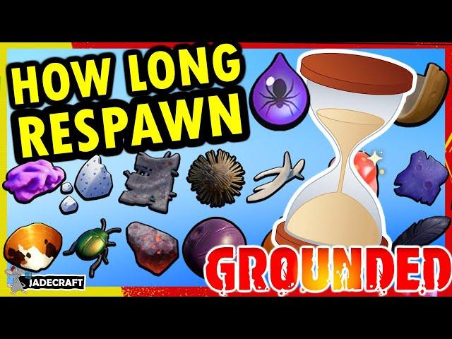 GROUNDED Pro Guide! How Long Do The Most Important Resources Take To Respawn! What You Need To Know