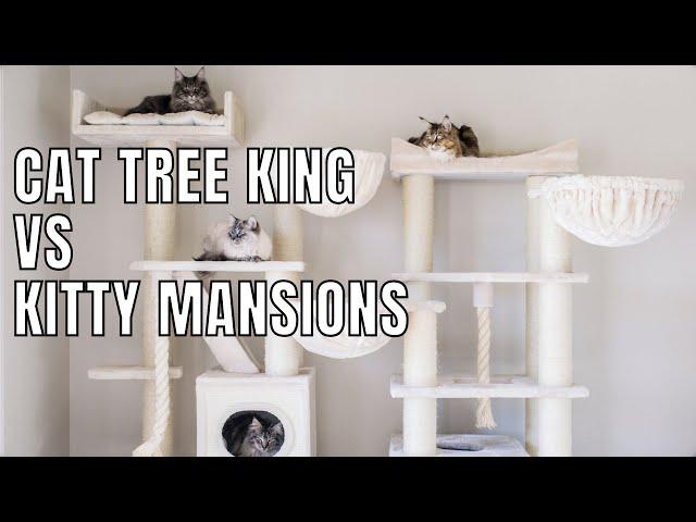 Cat Tree King vs Kitty Mansions Review