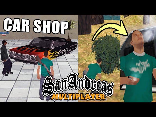 GTA San Andreas Collecting Weed in Multiplayer, Smoking, The Truth, Wang Cars Heist | WTLS NEWS #25