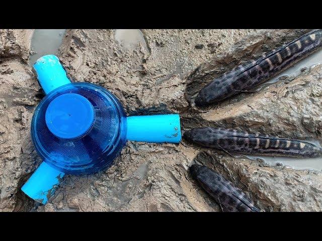 TR Technology: Making Plastic Bottle To Catch a lot of fish