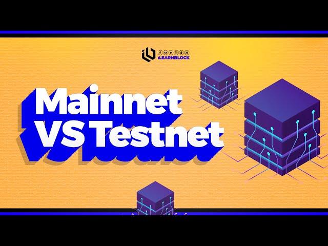 Mainnet vs Testnet