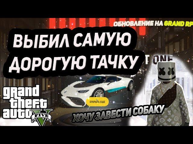 СОБАКИ, ОТЕЛЬ, КОНТЕЙНЕРЫ В ГТА5РП. ВЫБИЛ САМУЮ ДОРОГУЮ ТАЧКУ НА GRAND RP. ОБНОВЛЕНИЕ НА GRAND