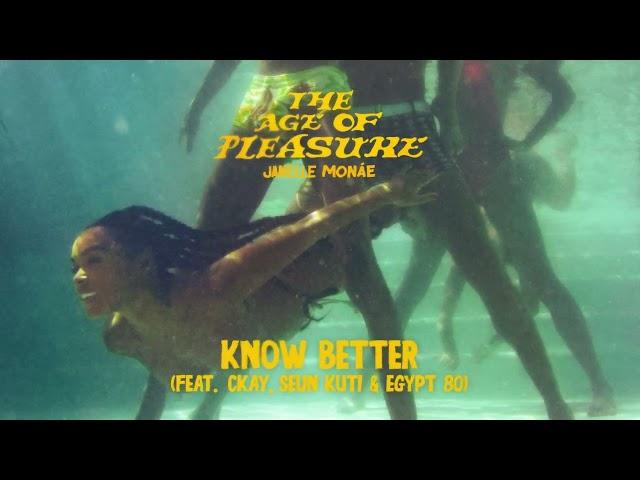 Janelle Monáe - Know Better (feat. CKay, Seun Kuti & Egypt 80) [Official Audio]