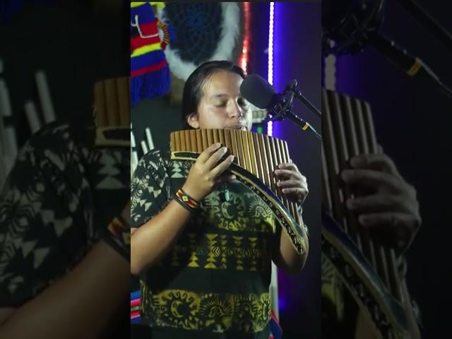 Let it Be #davidmoralessk #coversong #thebeatles #panflute #beautiful #indigenous #ecuador