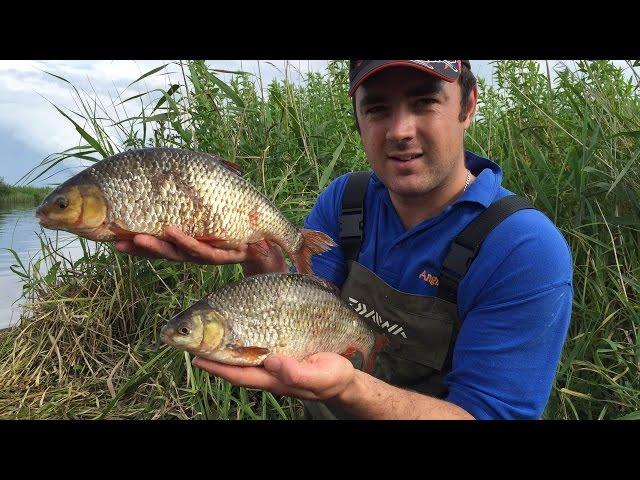 Big Roach On The River - Pole Feeder Fishing!