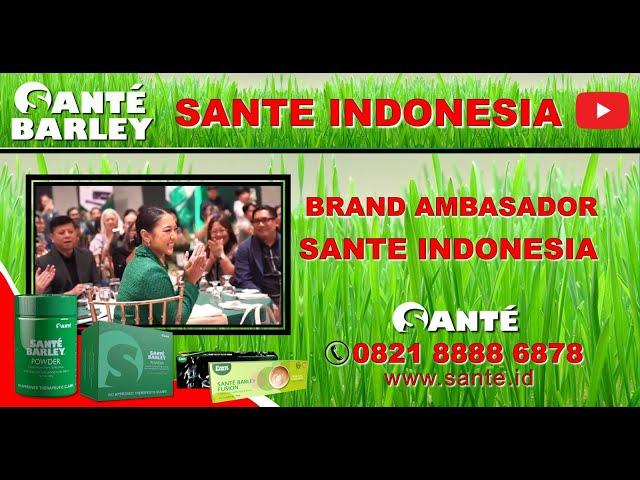 BRAND AMBASADOR SANTE INDONESIA