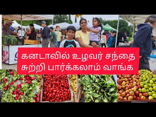 கனடாவில் உழவர் சந்தை சுற்றி பார்க்கலாம் வாங்க /Canada Farmers Market/Street food/Tamil Vlog